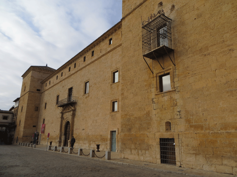 Rehabilitación de estructuras de madera y muros de piedra en el Palacio Ducal de Pastrana. 